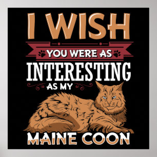 Pôster Gato de racum de Maine