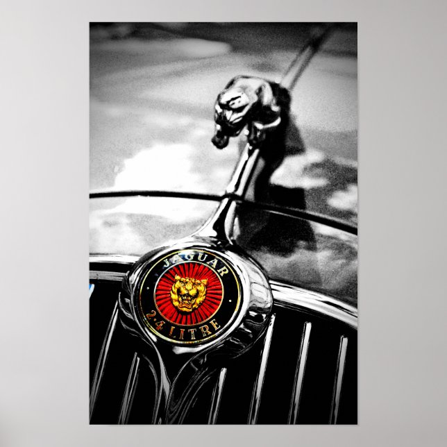 Poster Gato de Salto de Jaguar Leaper (Frente)