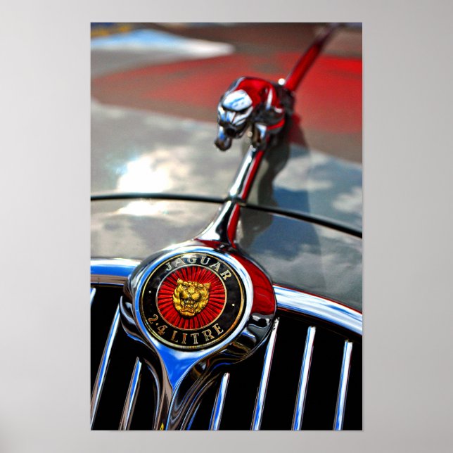 Poster Gato de Salto de Jaguar Leaper (Frente)