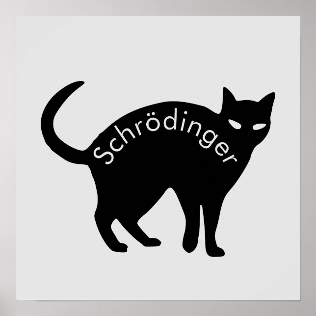 Poster Gato de Schrödinger (Frente)