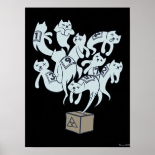 Poster Gato de Schrödinger 9 vidas