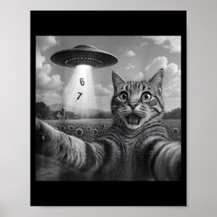 Poster Gato de selfie meme engraçado seis sete gato retro