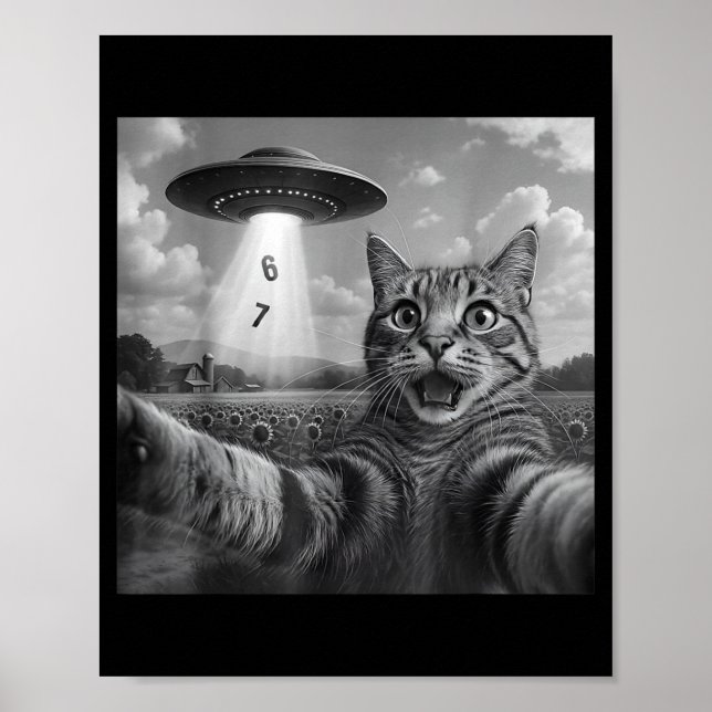Poster Gato de selfie meme engraçado seis sete gato retro (Frente)