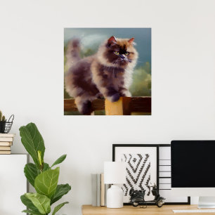 Poster Gato de Semi-longhair britânico
