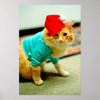 Poster Gato De Teclado Original Cat 1984