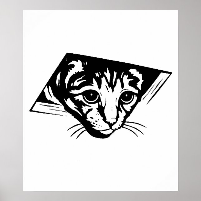 Pôster Gato de teto (Frente)