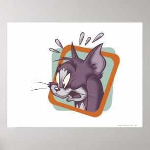 Pôster Gato de Tom Scaredy