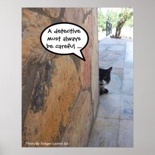 Poster GATO DETETIVE ATRÁS DA PAREDE DE PEDRA / Dia dos P