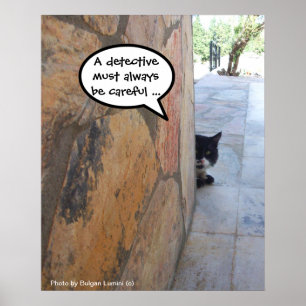 Poster GATO DETETIVE ATRÁS DA PAREDE DE PEDRA / Dia dos P