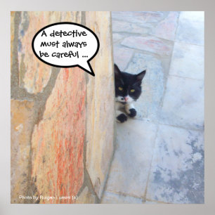 Pôster GATO DETETIVE ATRÁS DA PAREDE DE PEDRA / Dia dos P