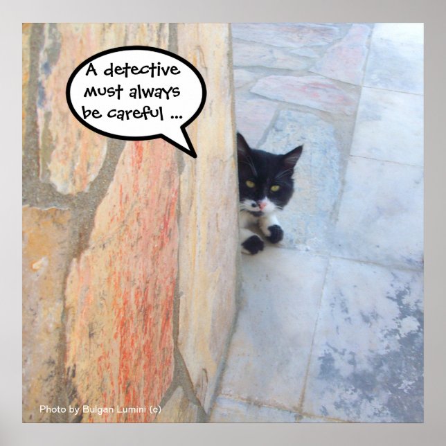 Pôster GATO DETETIVE ATRÁS DA PAREDE DE PEDRA / Dia dos P (Frente)