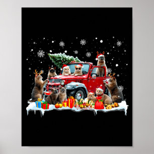 Poster Gato Devon Rex Caminhão Vermelho Árvore de Natal P