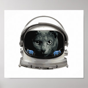 Poster Gato do astronauta do capacete de espaço