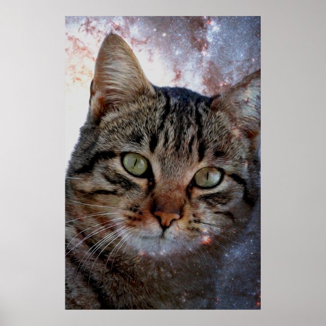 Poster Gato do Espaço (Frente)
