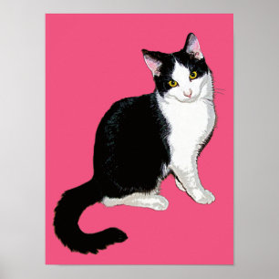 Poster Gato do gatinho, preto e branco no rosa quente