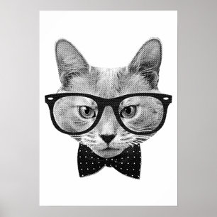 Poster Gato do hipster do vintage