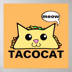 Pôster Gato do Taco
