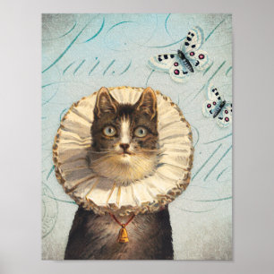 Poster Gato do vintage com colar e borboletas do