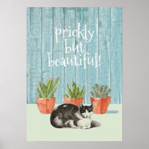 Poster Gato E Cactus Suculentos Rapidamente, Mas Bonito