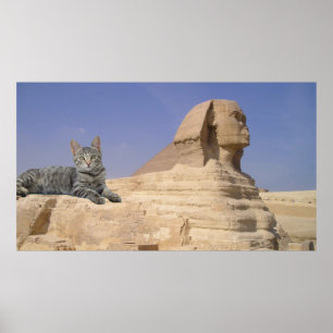 Poster Gato e Esfinge.