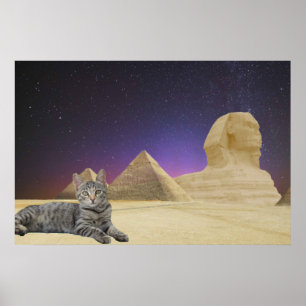 Poster Gato e Esfinge.