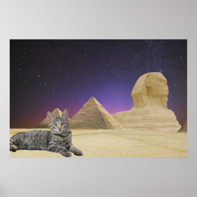 Poster Gato e Esfinge. (Frente)