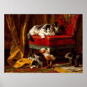 Poster Gato e Gatinhos Brincando com Cadeira