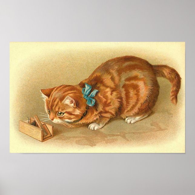 Pôster "Gato e Rato" (Frente)