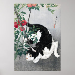 Poster Gato e tomate, Takahashi Shôtei