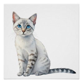 Pôster Gato Egeu com olhos azuis flagrantes