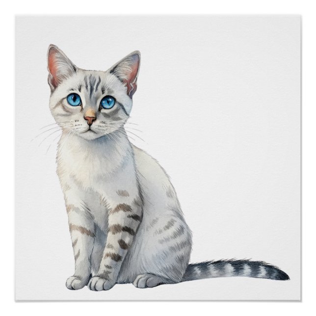 Pôster Gato Egeu com olhos azuis flagrantes (Frente)