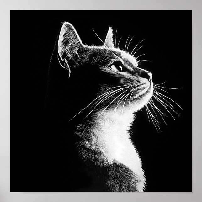 Poster Gato Elegante (Frente)