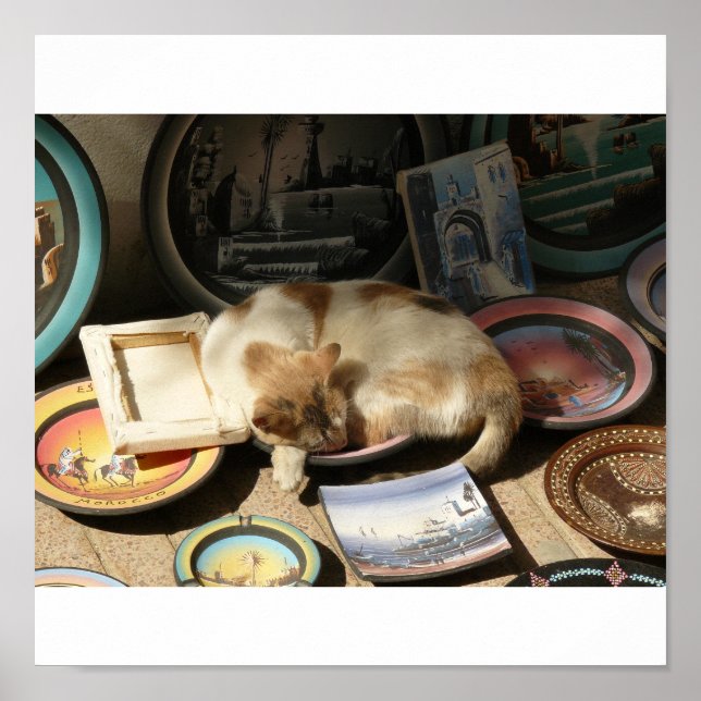 Poster Gato em h....Bowl (Frente)