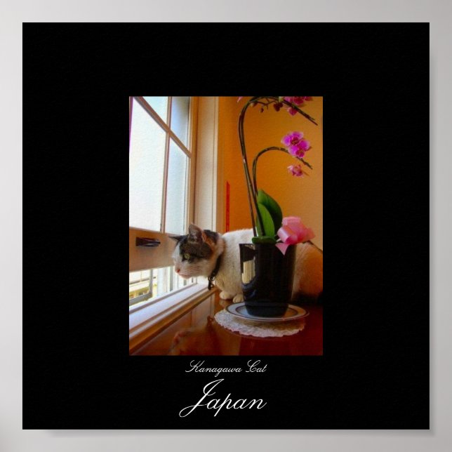 Poster Gato em Kanagawa, Japão (Frente)