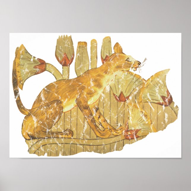 Pôster gato em pântano (Frente)