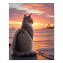 Gato em um cais com um pano de fundo sunset e oceâ