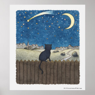 Pôster Gato em uma cerca que olha o céu nocturno acima d