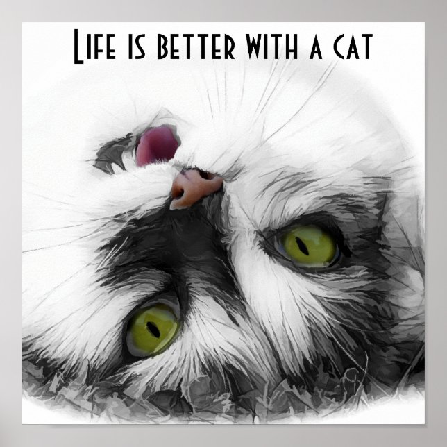 Poster Gato engraçado clássico (Frente)