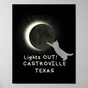 Poster Gato engraçado do eclipse solar total de Castrovil