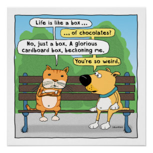 Pôster Gato Engraçado e Poster de Cão