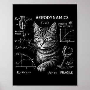 Poster Gato Engraçado Equações de Matemática e Física Hum