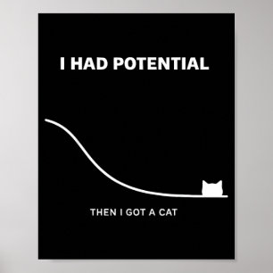 Poster Gato Engraçado Eu Tinha Potencial Então Eu Ganhei