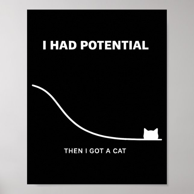 Poster Gato Engraçado Eu Tinha Potencial Então Eu Ganhei  (Frente)