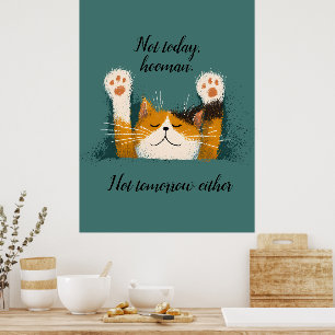 Poster Gato Engraçado Fofo Dormindo