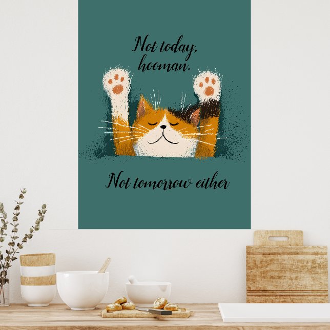 Poster Gato Engraçado Fofo Dormindo (Cozinha)