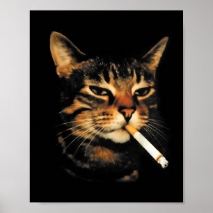 Poster Gato Engraçado Fumando Cigarro Meme de Gatinho Idi