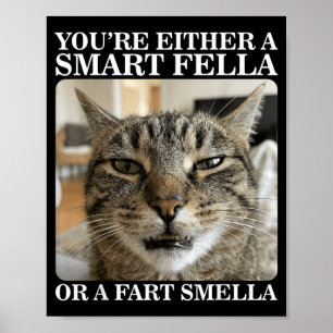 Poster Gato Engraçado Inteligente ou Cheirador de Peido
