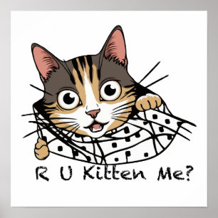 Poster Gato Engraçado, Vestido-Me?