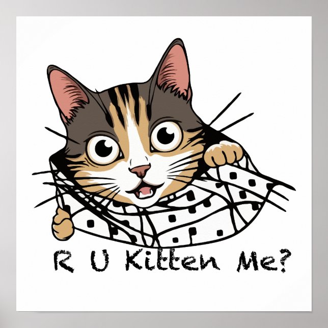 Poster Gato Engraçado, Vestido-Me? (Frente)