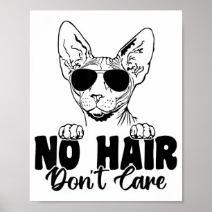 Poster Gato Esfinge Engraçado Sem Cabelo Não Liga Careca